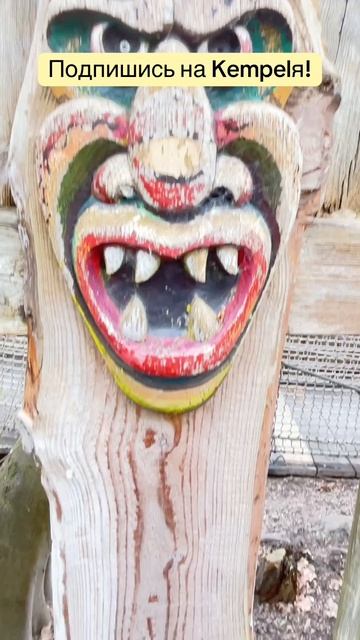 ✅ «Попа» #kempel #рэпер #русскийрэп #рэп #рэперы #автор #песни #музыка  #музыкант #кемпель