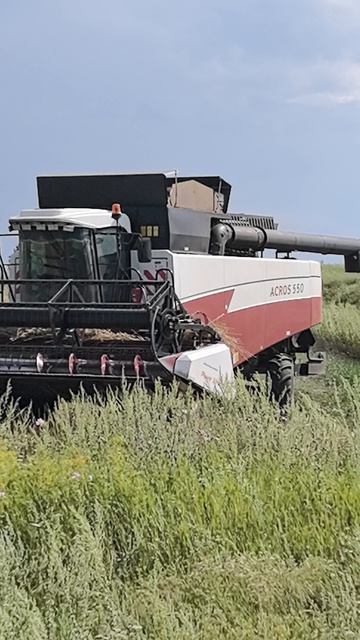 Уборка зерна Волгоградская область.