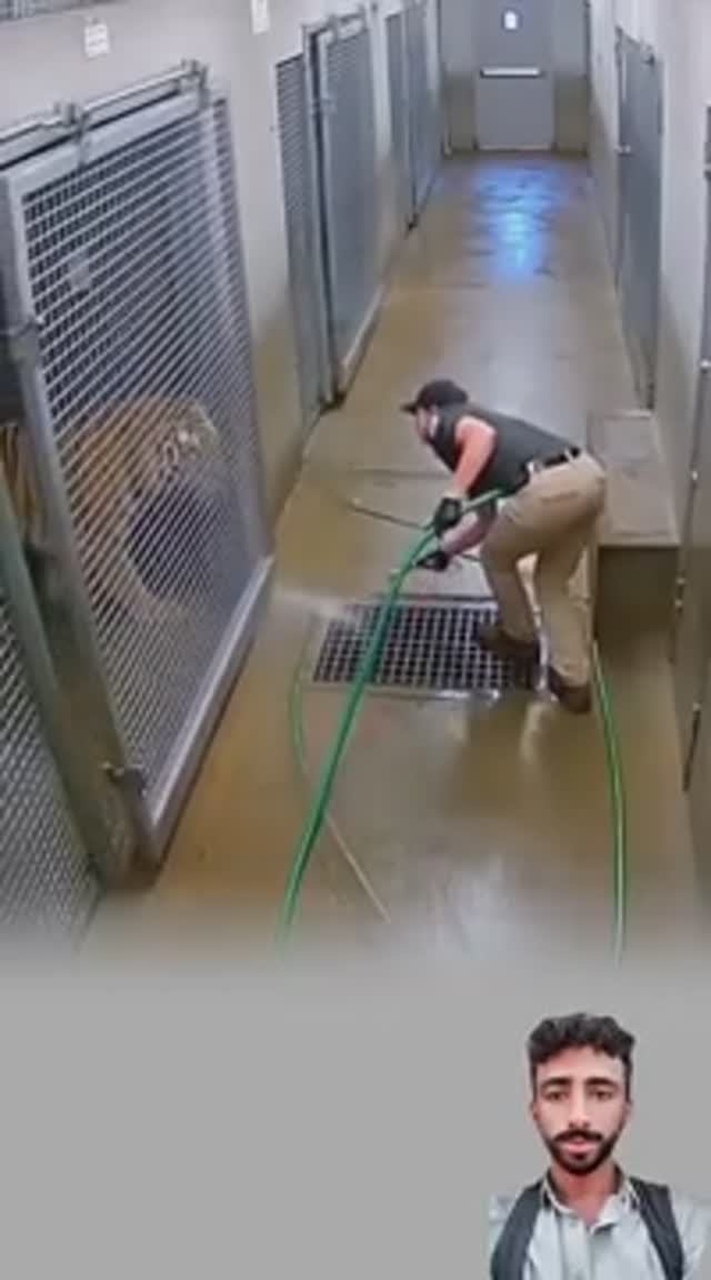 Чуть не съели.