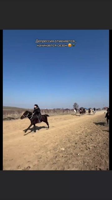 отменяем депресию сезон начинается.!!!!! #топ #юмор #школа #вайб #товары #животные