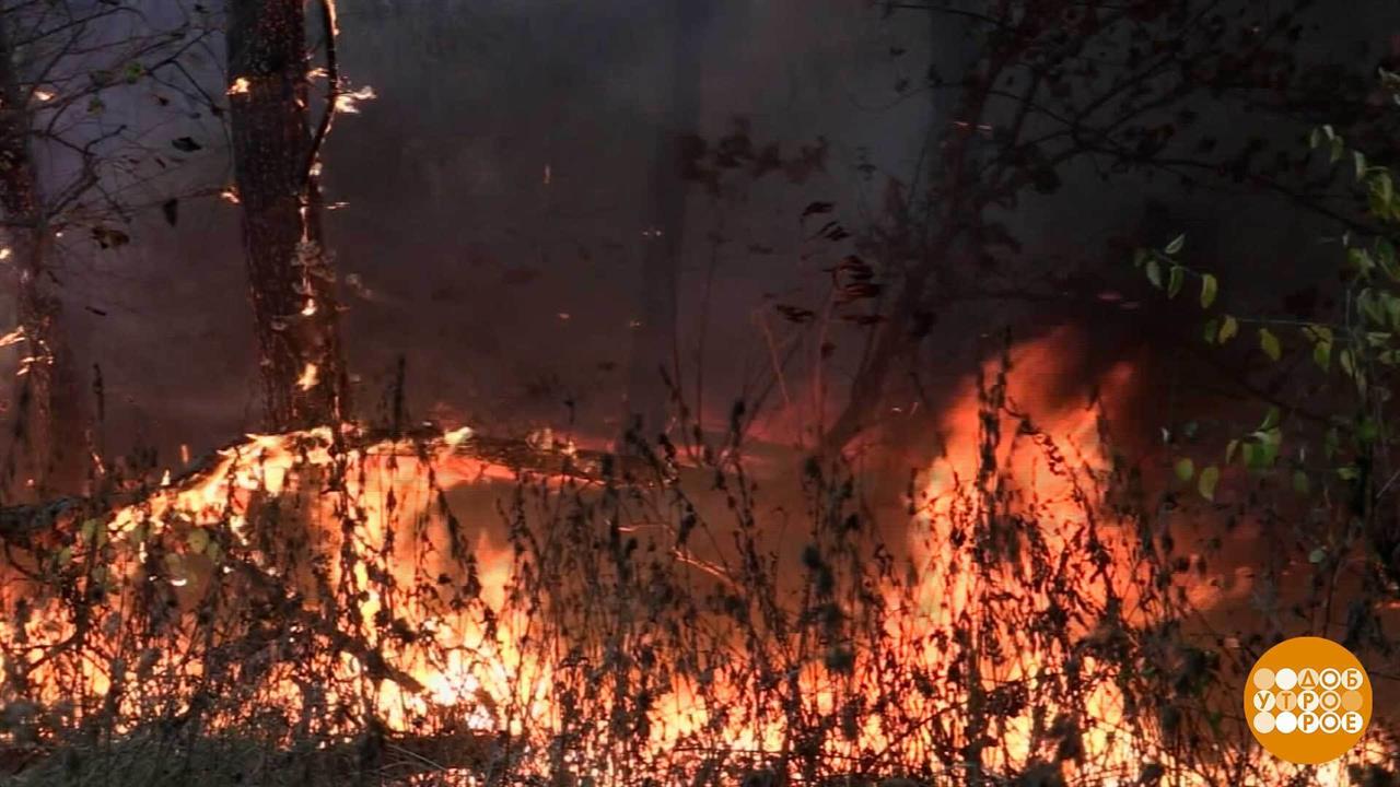 Не поджигайте траву! Доброе утро. Фрагмент выпуска от 22.04.2026