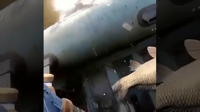 Видео от За Трофеем: Охота и Рыбалка