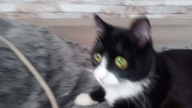 Давайте знакомиться.