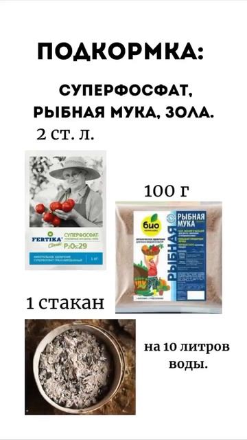 Определяем по листьям огурца каких полезных элементов ему не хватает!