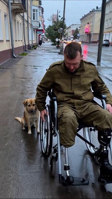 Одинокий человек и его верный друг в мире, полном печали #самота #друзья #жизнь