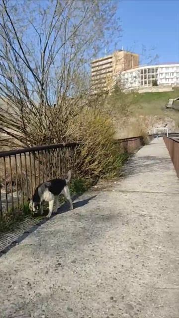 🇦🇲A❤️R💙M🧡E📖N✝️I🗻A🤝