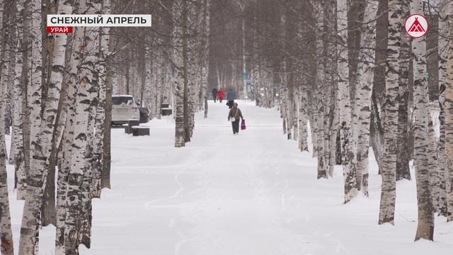 Урай под снежным покрывалом. 22-04-2026