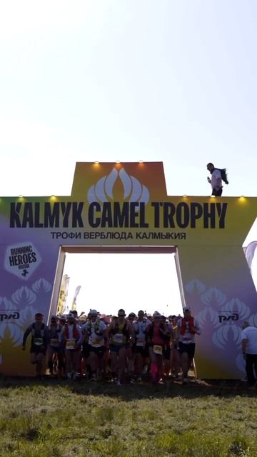 Kalmyk Camel Trophy 2026 главный старт