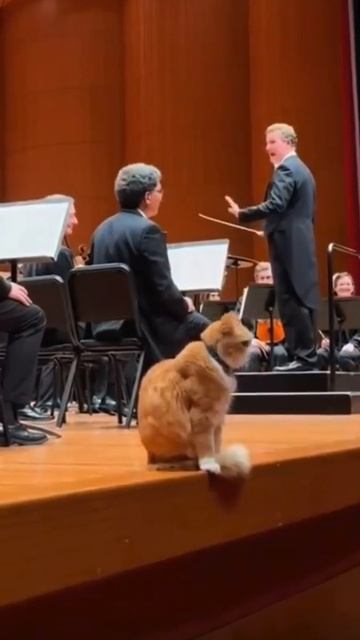 video_2026-04-22_19-37-23