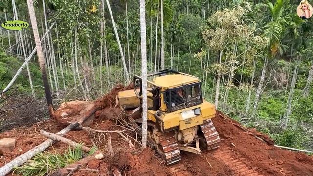 Строительство, расчистка горной дороги