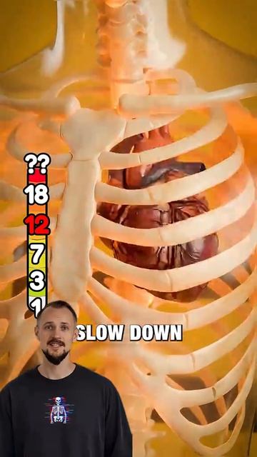 Кино и Сериалы