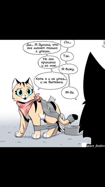 Утиная лента) Пикси и Брут