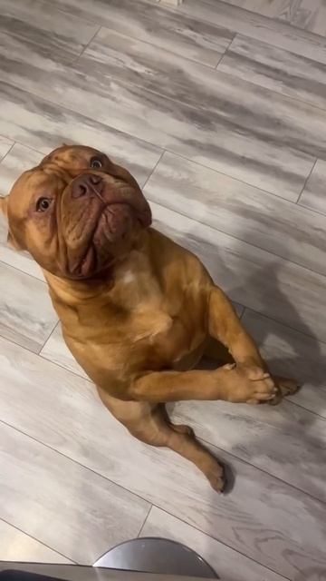 Не видишь, что от голода помираю🤨?!))