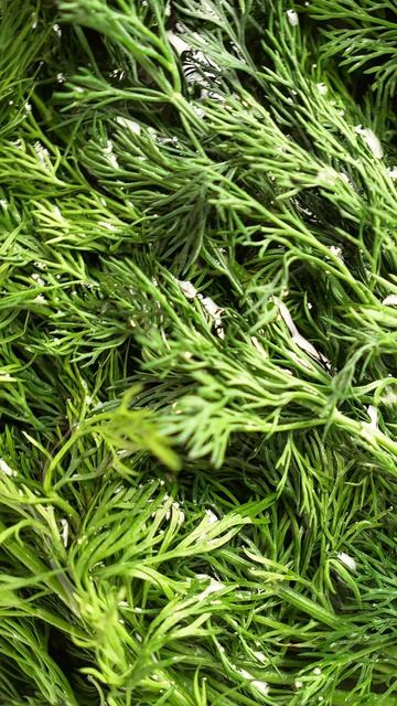 Набор емкостей для смешивания Mixy, 3 шт.