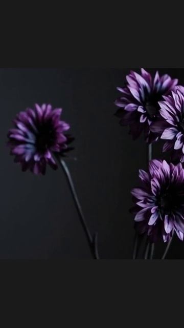 #медиаcreator #созданиеконтента #творчество #визуальныйконтент #социальныемедиа