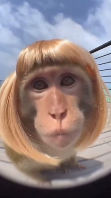 Слетел парик