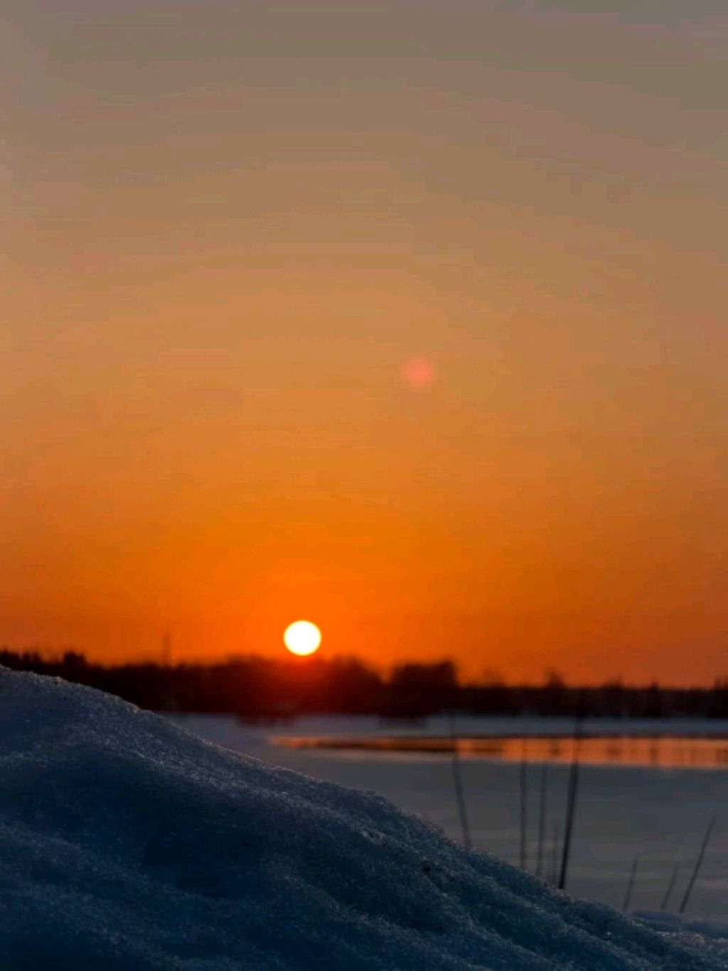 БОЛТАЕМ, ДЕЛАЮ ДОМ МОНСТРИКСАМ. |ПЕРВЫЙ СТРИМ|