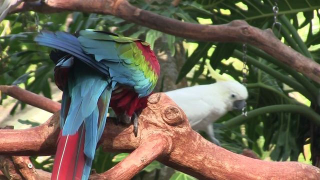 Большое путеществие по Китаю ПЕКИН-ХАЙНАНЬ-ГОНКОНГ  канал МОСКОВИТ