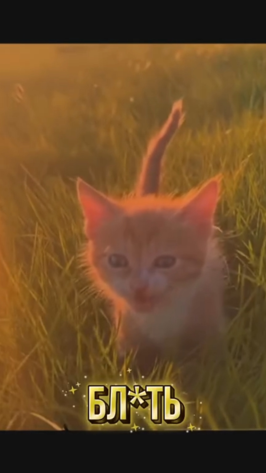 Найдем подход к любому клиенту🙂