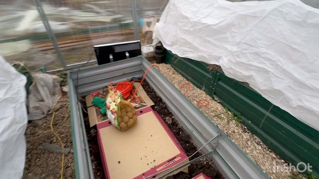 🟣МОЯ РАБОТА 🧑💼/МНОГО ДЕЛ НА УЧАСТКЕ🏠/ПЕЧЕНОЕ ЯБЛОКО 🍏