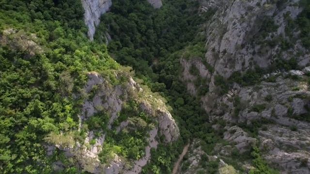 Трек от ИИ&AI - Крым