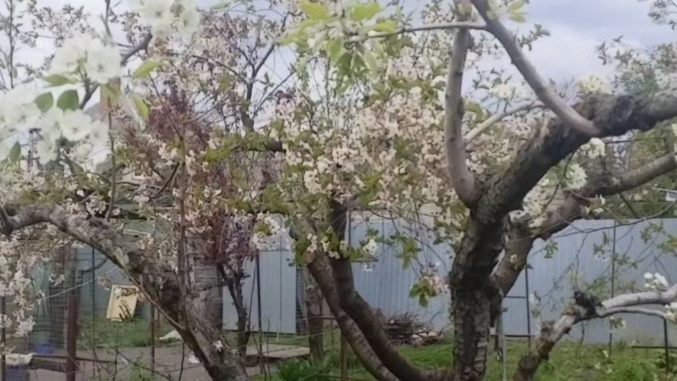 Мысли вслух что буду делать.