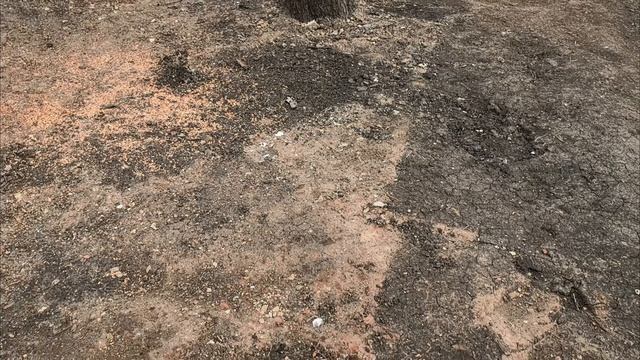 Огородные дела. Теплица. Готовлю 😀