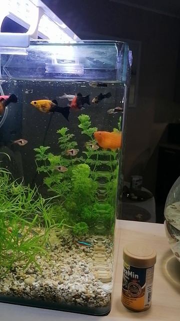 Мой новый фильтр