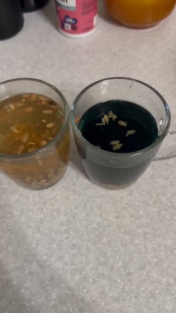 🌐 https://ВсеИонизаторыВоды.РФ