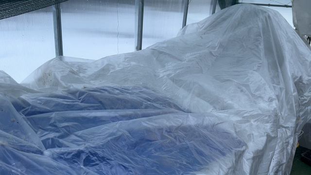 Похолодание и снег. Суккуленты в теплице под слоями укрывного материала))