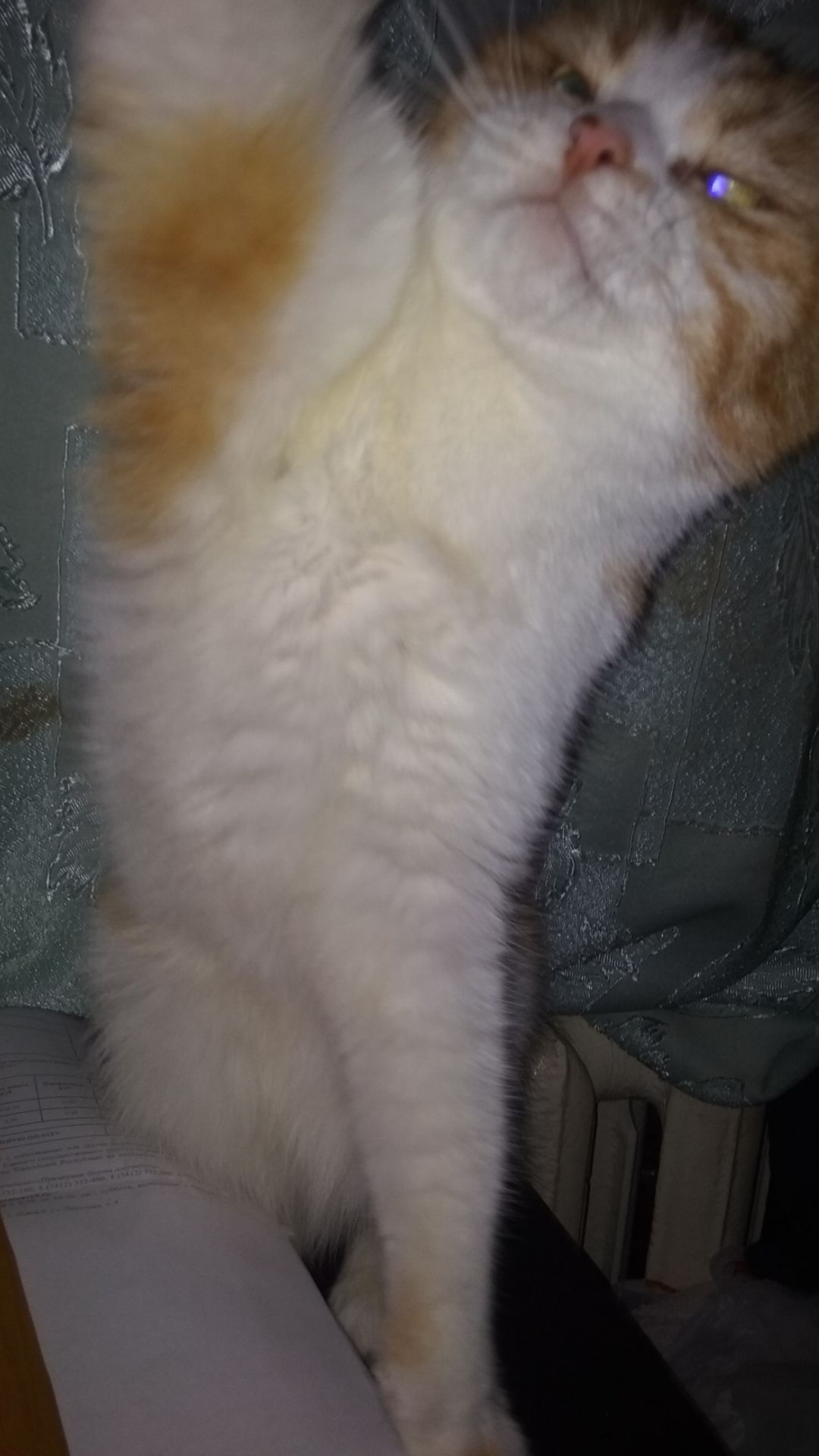 С НЕЙ НЕ ЗАЖИРЕЕШЬ..РАЗВИВАЙКА.....!😆