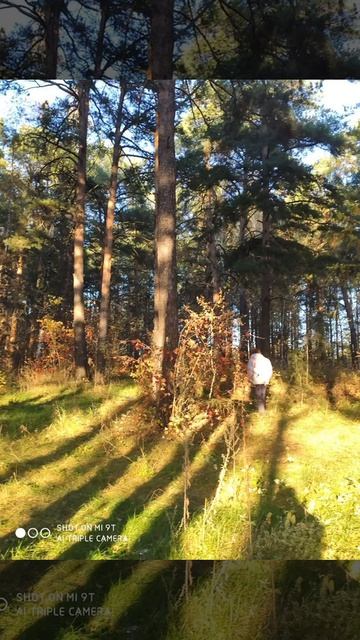 video_2026-03-14_21-03-38