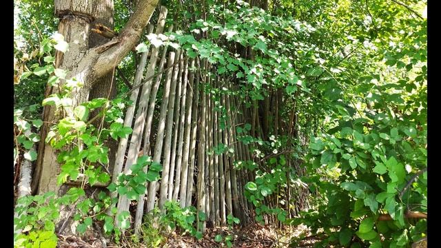 П. Коэльо. О чувстве вины. Притча 75. Книга Воина Света