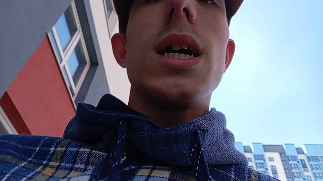 Сегодня 22 Апреля  2026 год садят сосны