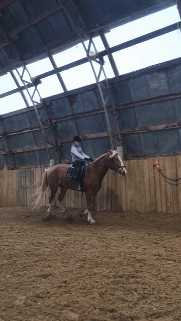 София и Каспер, подъем в галоп в углу манежа и переход в рысь по стенке.
