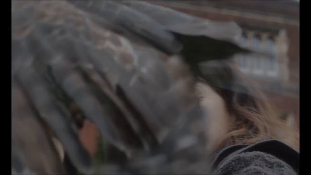 Я — значит Ястреб — Русский трейлер (2026)