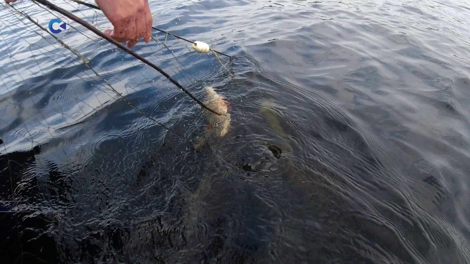 Карельские парламентарии вступились за рыбаков