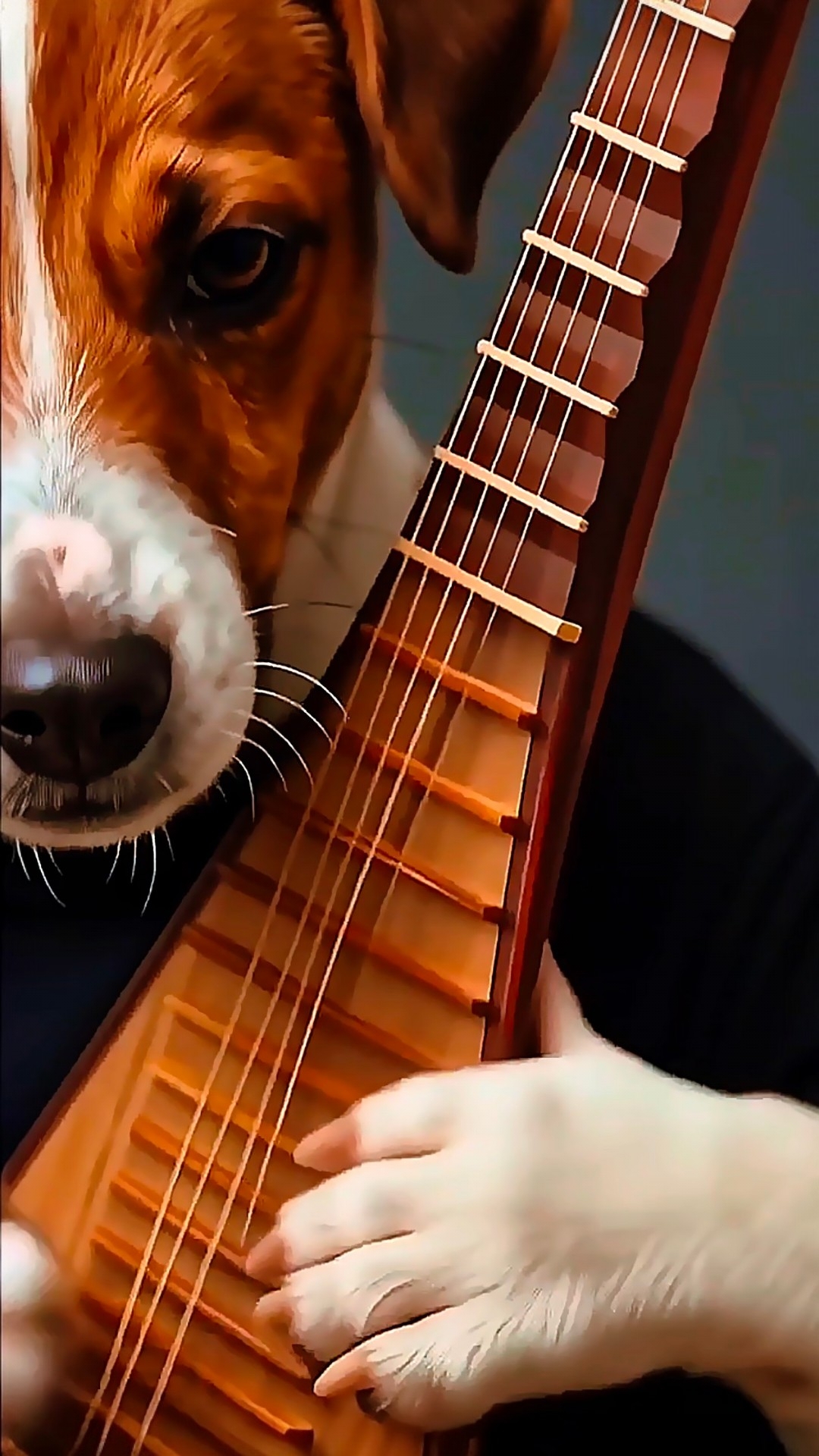 🙌Подписывайтесь🙌Помощь каналу:+➐➐➐➎➎➌➍➊➍➐➑ 🅷🅰🅻🆈🅺 🅱🅰🅽🅺 #юмор #прикол  #смешновидео.mp4