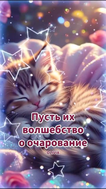 доброй ночи