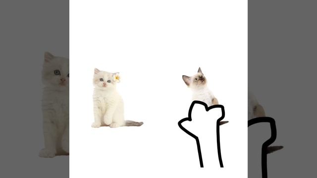 АХАХАХАХХАХАХ, УДАЛИТЕ У МЕНЕ КАПКУТ И ЗАБЕРИТЕ ТЕЛЕФОН ПХХАХПХПХ