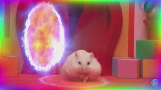 Хомяк против кальмара, игра 1. Главное испытание. Удивительный цифровой цирк. часть 1