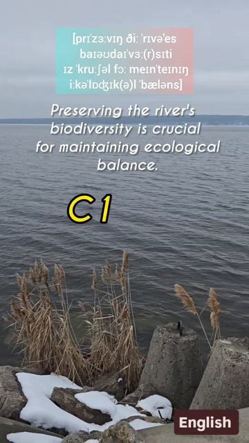 Изучаем английский с 