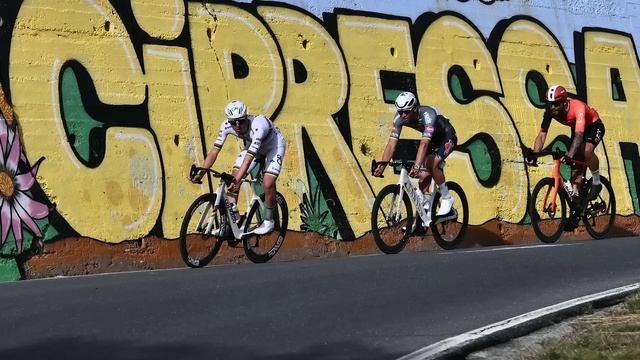 Доминирование Погачара: польза или вред для велоспорта?