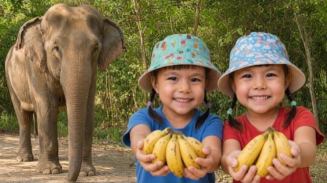 Твин Твин посещают заповедник слонов