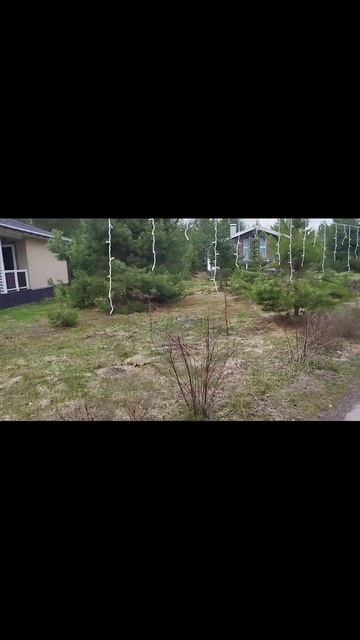 с тележкой через лес