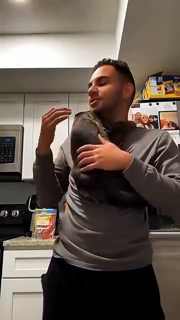 Срочно накормите кота!!