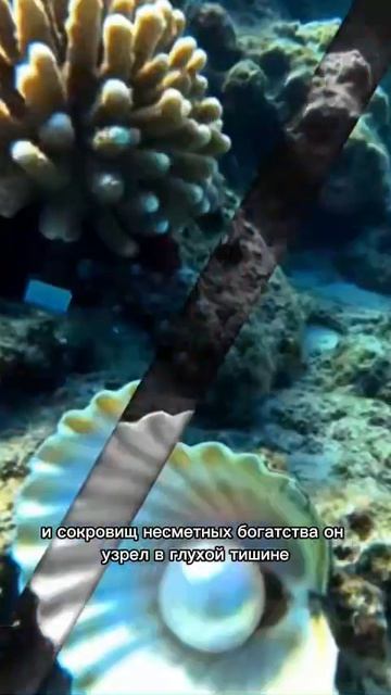 Сказки со смыслом. Шторм.