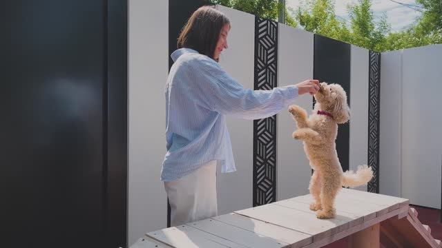 Площадка для выгула собак