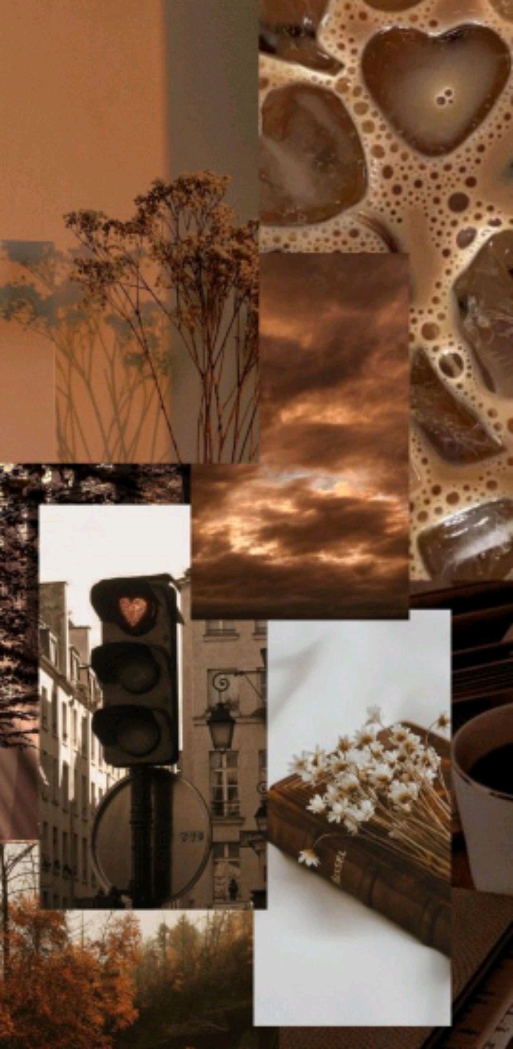 собираем щопер на ВПР в школу