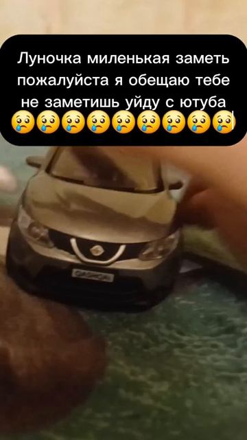 Ролик Zeekr из Max.